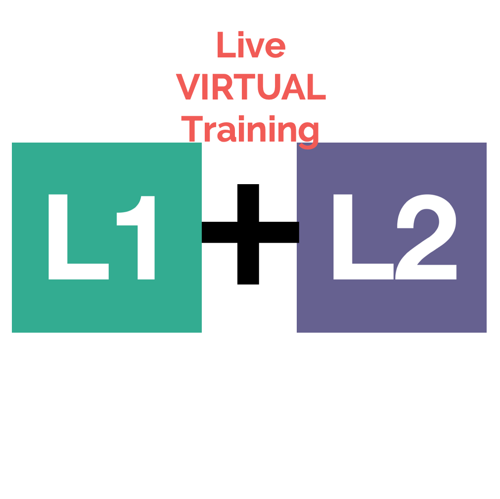 Level 1 & Level 2 Bundle (9/16-9/20/24) | Smithey Counseling Services, LLC